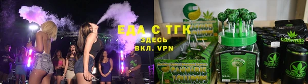 стаф Алзамай