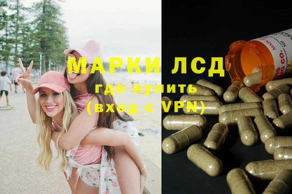 стаф Алзамай