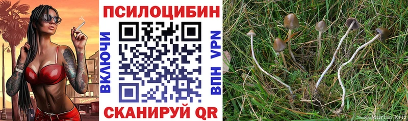 Галлюциногенные грибы мицелий  Котово 